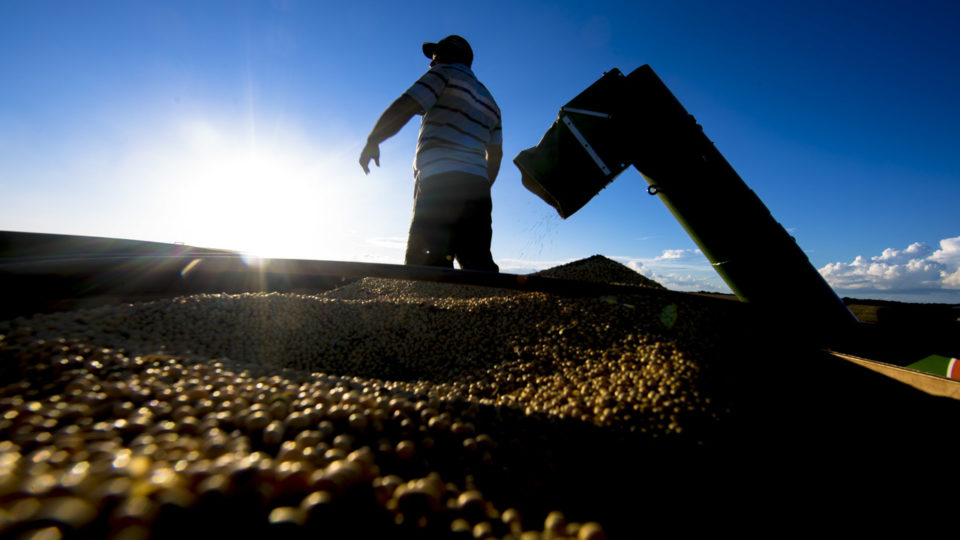 Agronegócio, um dos setores mais criticados pelo presidente Lula, foi o grande motor do crescimento do PIB em 2023.