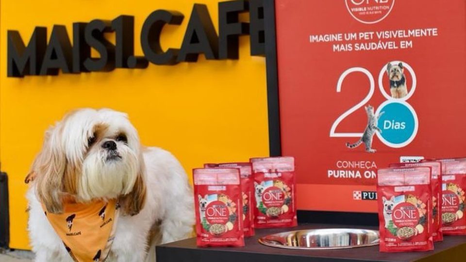 Mais1.Café