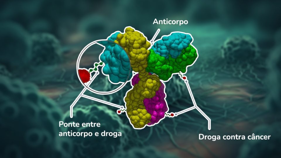 Conjugado anticorpo-droga da Seagen, empresa comprada pela Pfizer