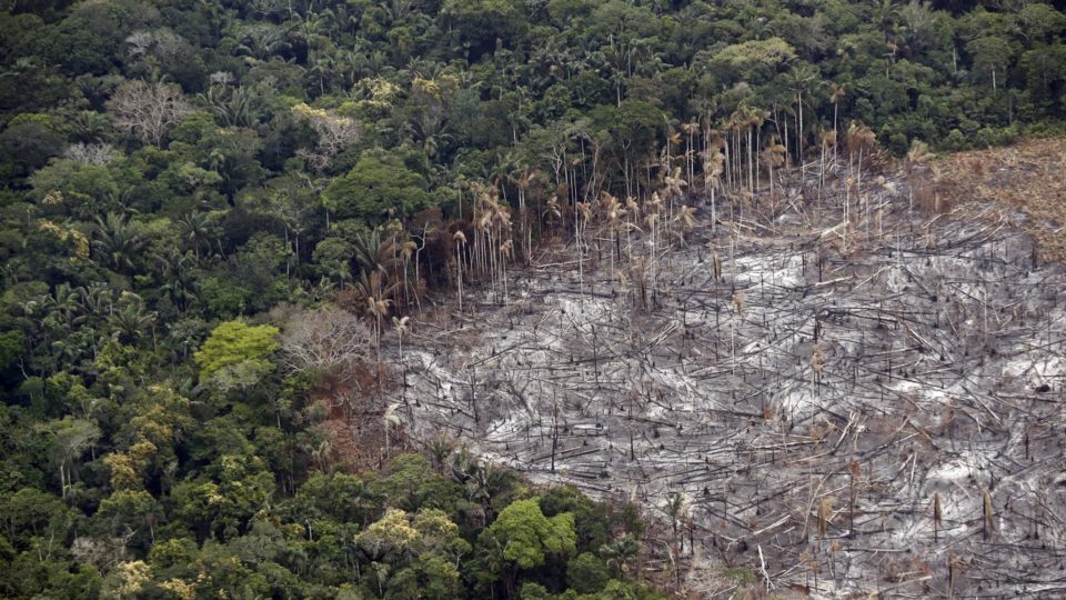 desmatament-colombia