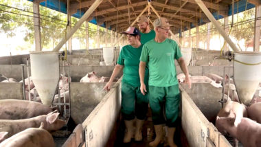 Industrialização das cooperativas aumenta emprego no campo