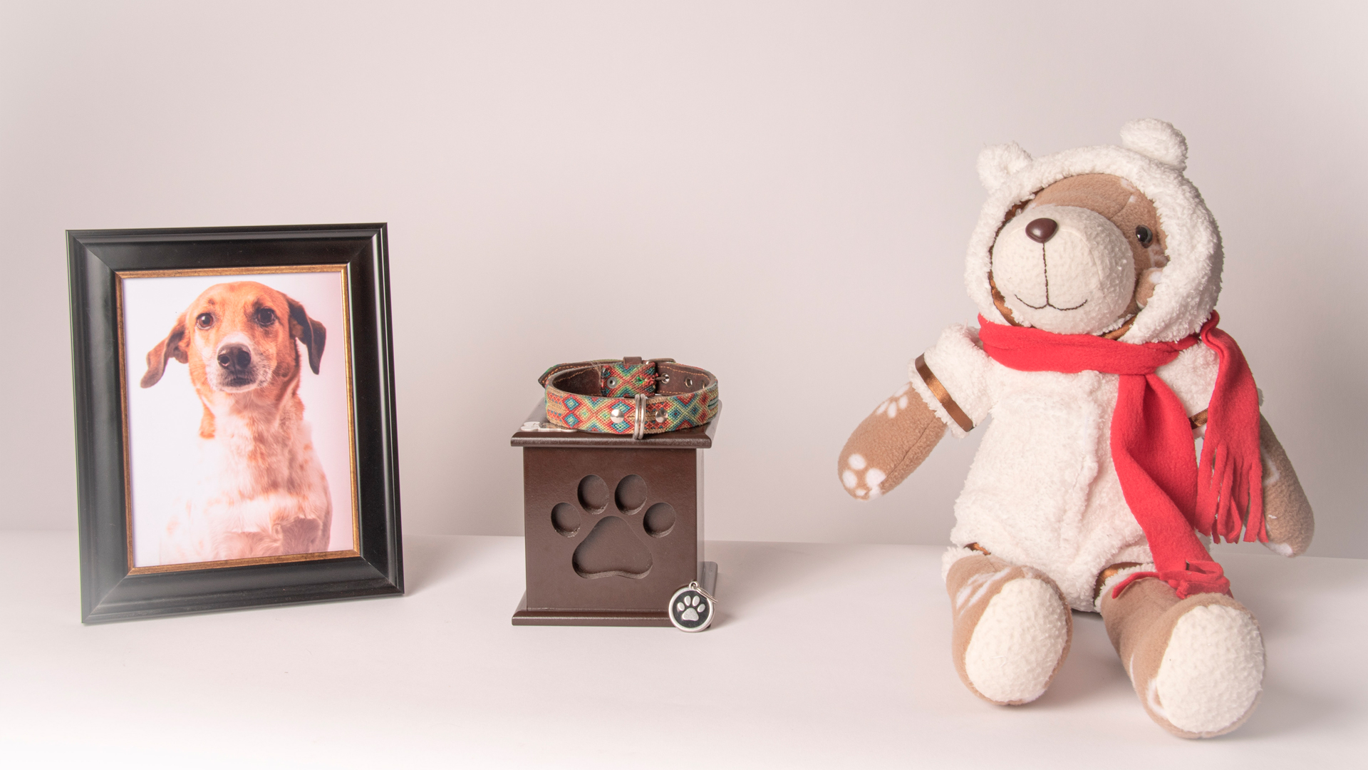 Os animais de estimação merecem cerimônia de despedida que represente o amor por ele