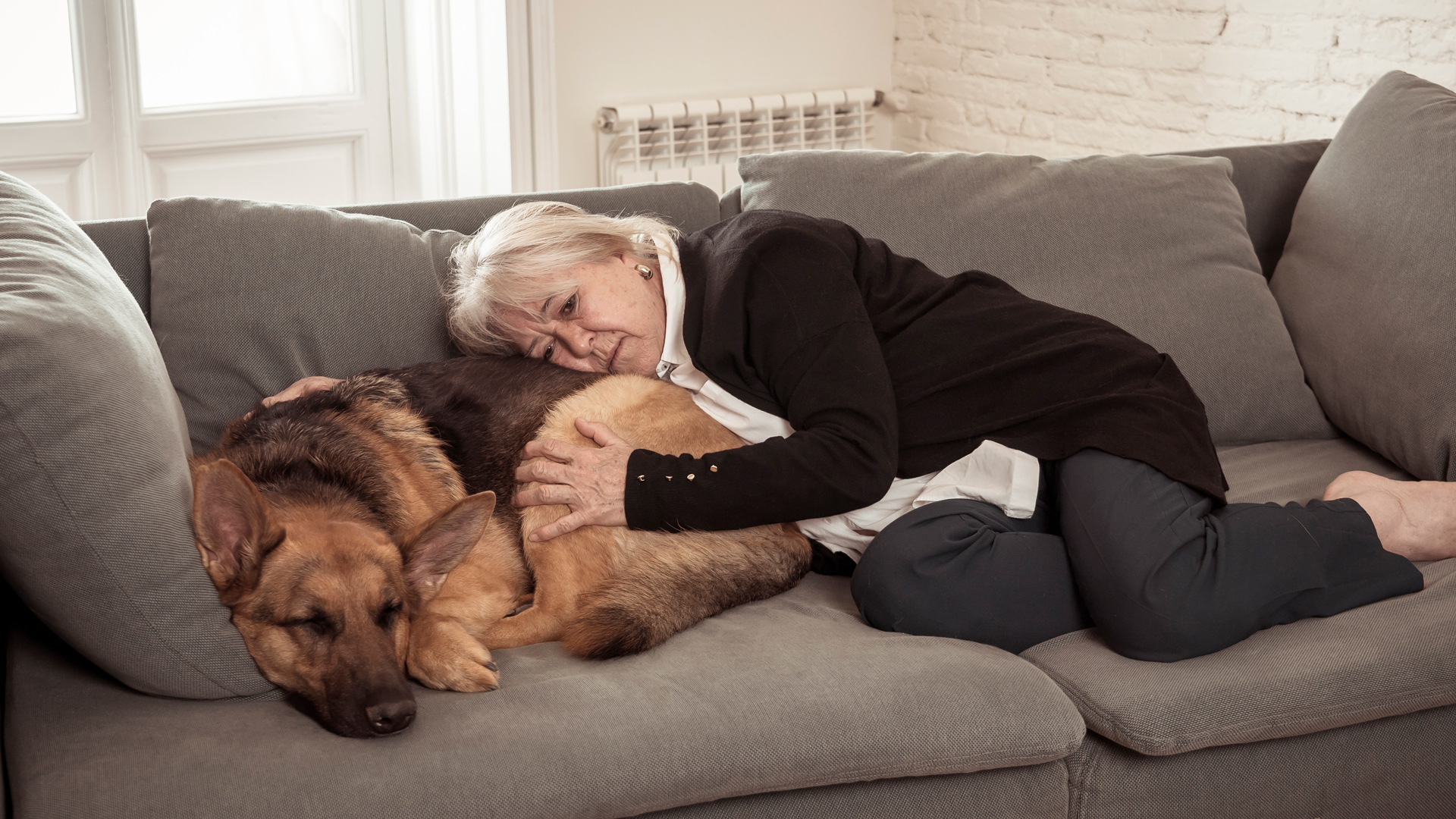 O luto traz a sensação de solidão e a presença de cães pode ser uma terapia nesse momento difícil