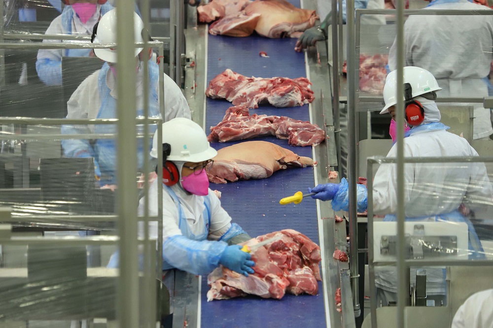 Preço da carne suína ao consumidor teve alta de 5% no acumulado de janeiro a maio, em comparação com o preço médio de 2022
