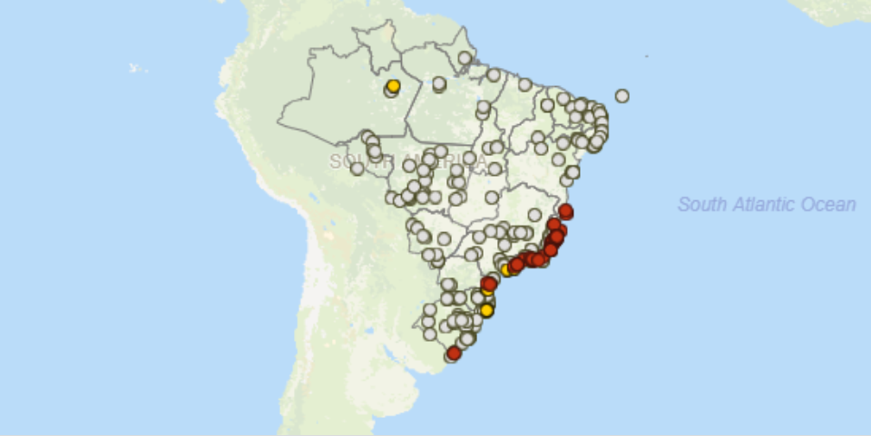 Gripe aviária teve registro em seis estados brasileiros