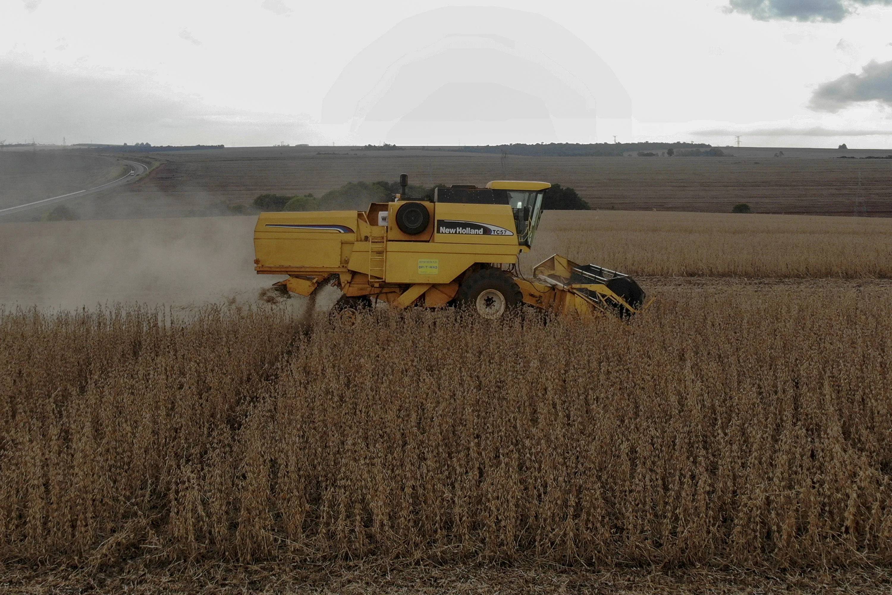 Milho que vem sendo importado pelas cooperativas é utilizado para a produção de ração.