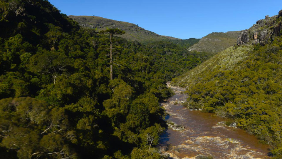 Buscas por aeronave iniciaram na região da Serra do Mar, por terra e em sobrevoos