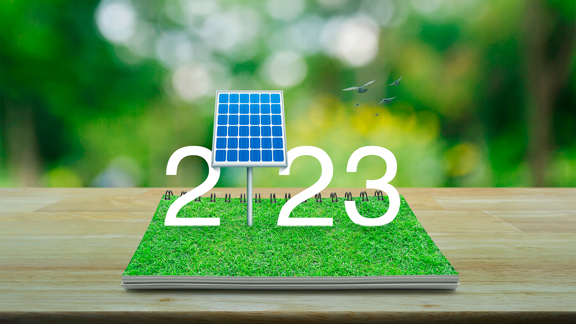 O marco legal da micro e minigeração distribuída entrou em vigor em janeiro de 2023