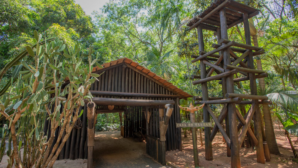 Você encontra ação, entretenimento e diversão próximos à natureza na Casa do Tarzan