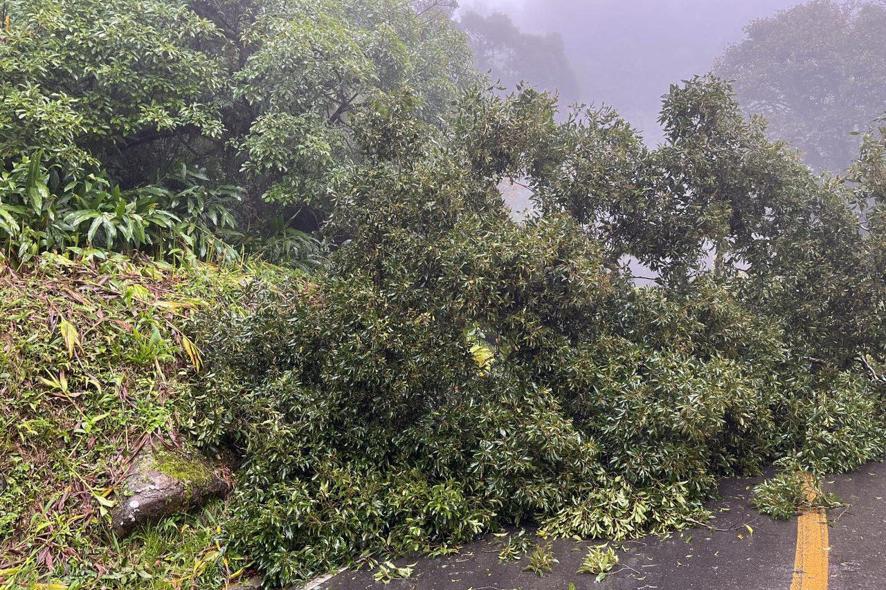 Estrada da Graciosa está fechada até meio-dia de quinta-feira (20)