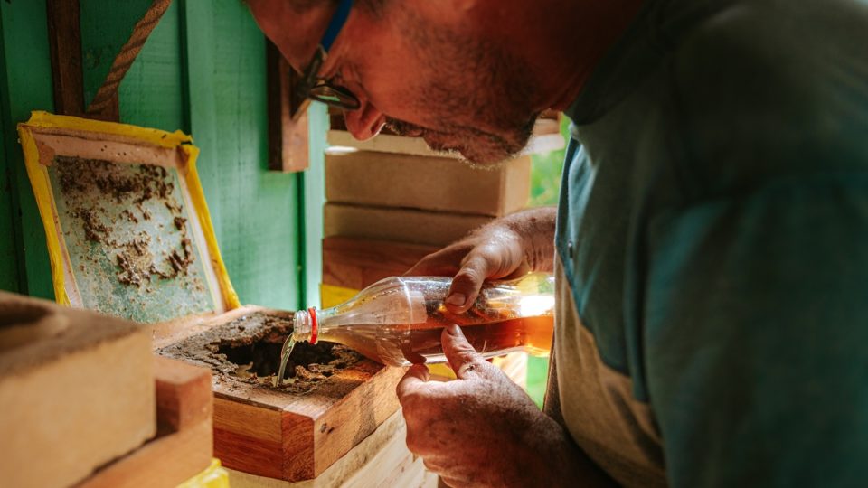 Projeto de meliponicultura busca incrementar a renda dos produtores rurais e fortalecer o desenvolvimento regional.