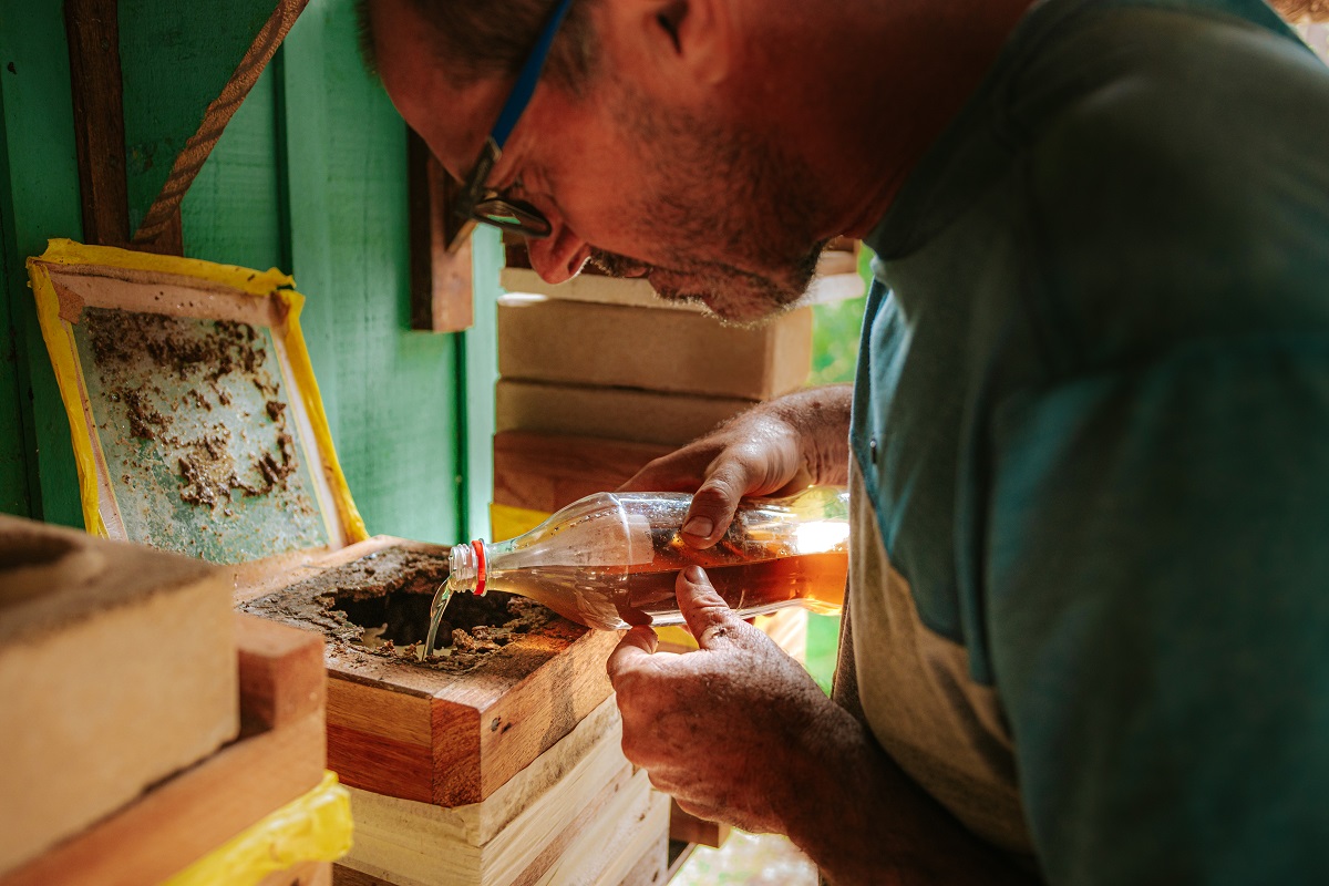 Projeto de meliponicultura busca incrementar a renda dos produtores rurais e fortalecer o desenvolvimento regional.