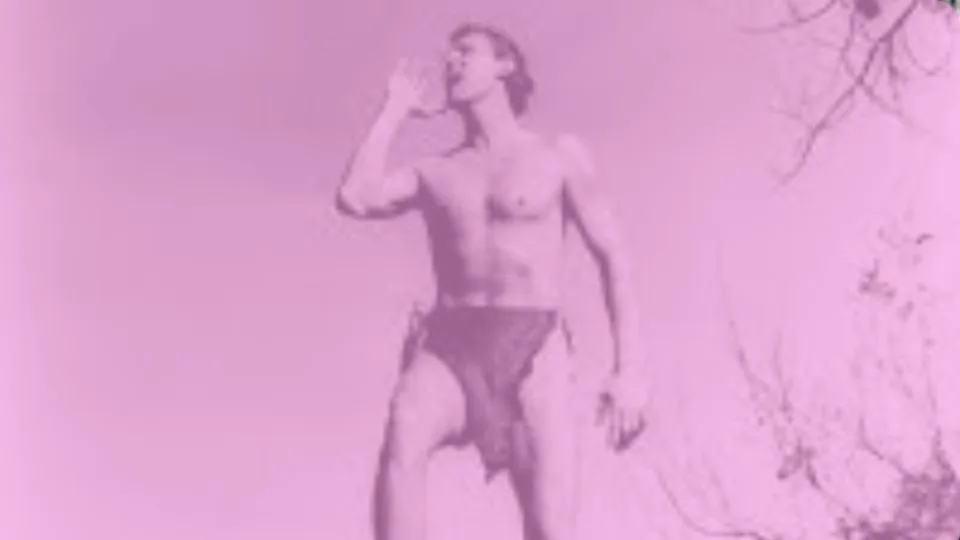 Tarzan Barbie
