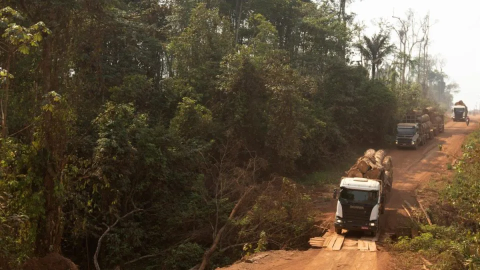 Floresta Amazônica