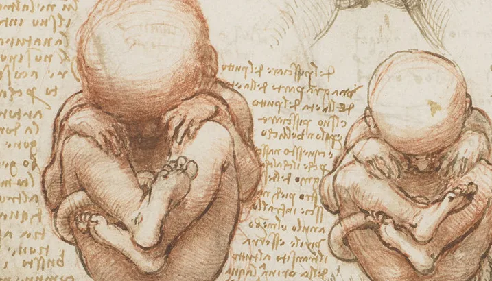 Fetos, direito à vida