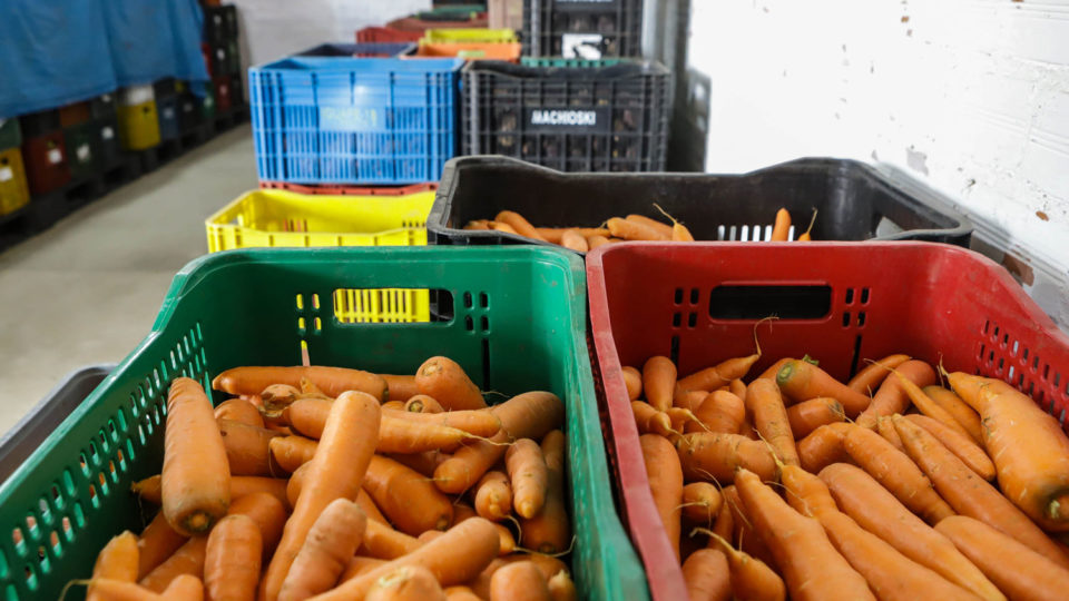 Alimentos orgânicos têm tempo maior de duração na prateleira e melhor sabor.
