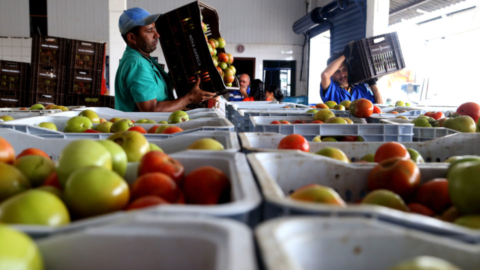 Alimentos não comercializados são processados em sopas, caldos e sucos e distribuídos a instituiçòes assistenciais, hospitais e escolas.