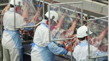 Cooperativas do Paraná respondem por 45% de toda produção de proteína animal, principalmente carnes, do estado.