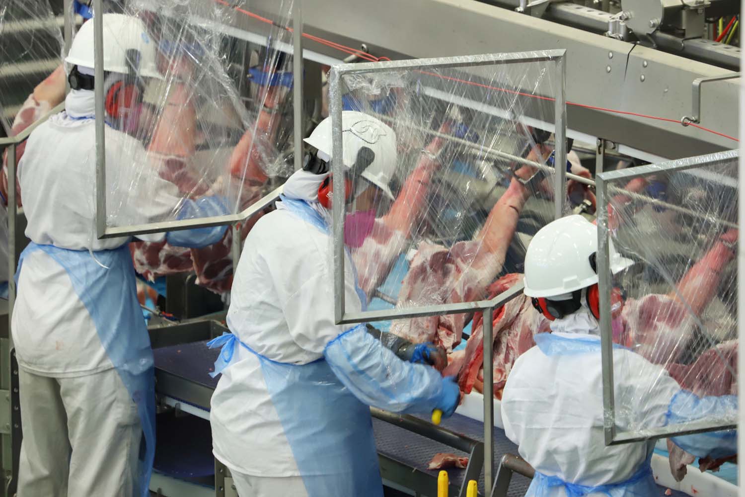 Cooperativas do Paraná respondem por 45% de toda produção de proteína animal, principalmente carnes, do estado.