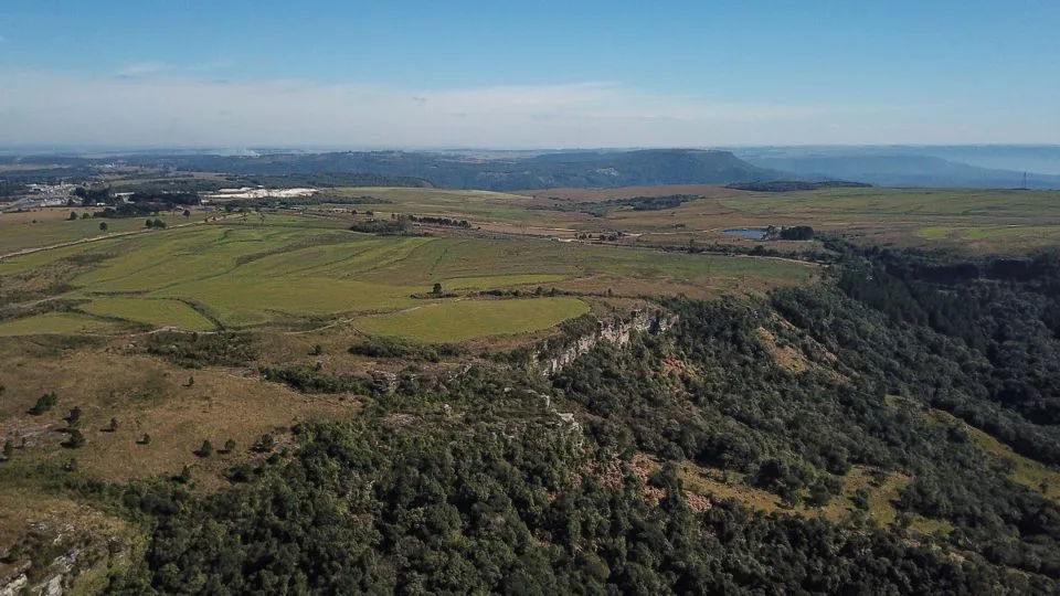 Paraná foi o primeiro Estado a promover o ICMS Ecológico.