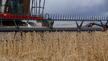 Paraná é o segundo maior produtor de soja, com estimativa de colheita de 21,4 milhões de toneladas neste ciclo.