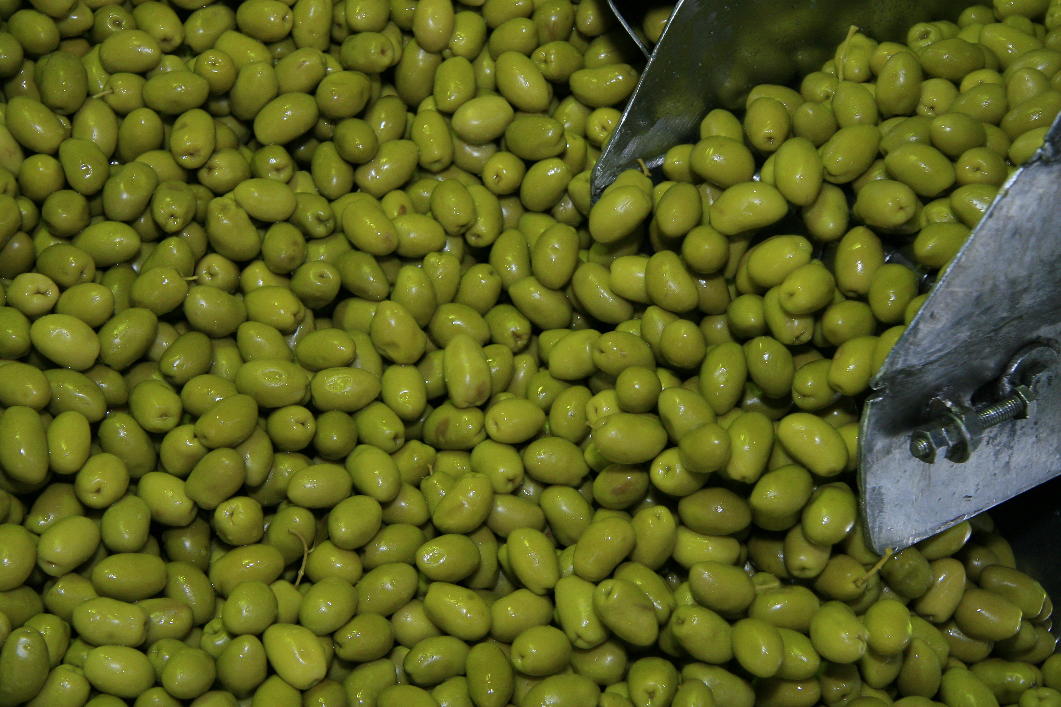 Paraná adquiriu 18 mil toneladas de azeitonas  no primeiro semestre deste ano.