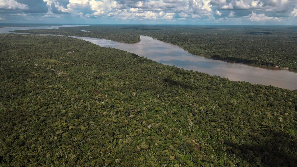 Com a inclusão do ecocídio como crime a ser julgado pelo TPI, Brasil, um país-membro da corte, poderia ficar exposto porque a maior parte da Amazônia está no seu território