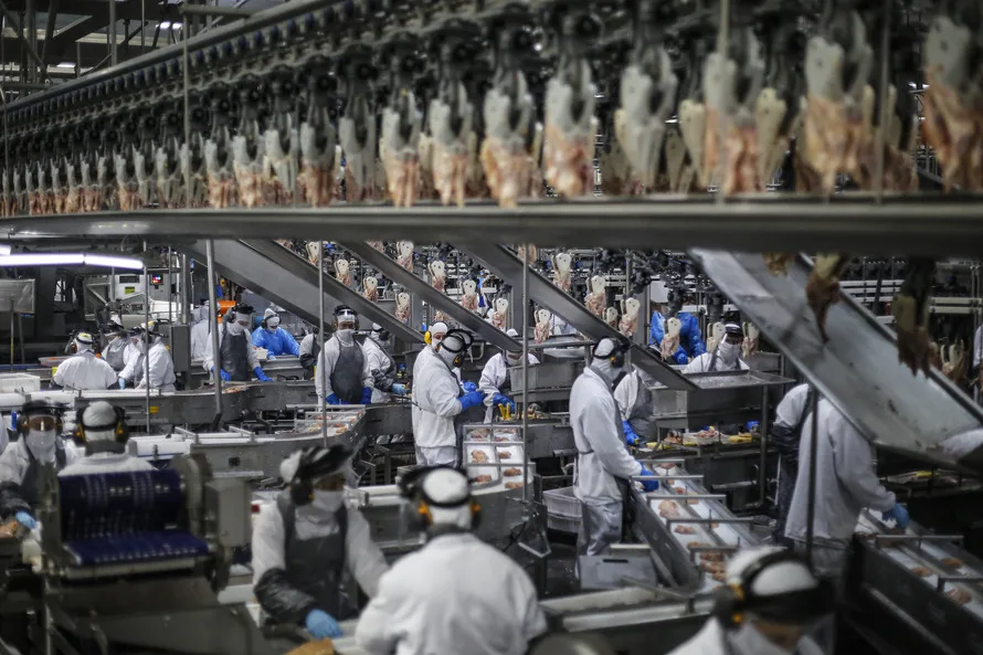 A região que quer ser a maior produtora de carne no mundo está no Paraná