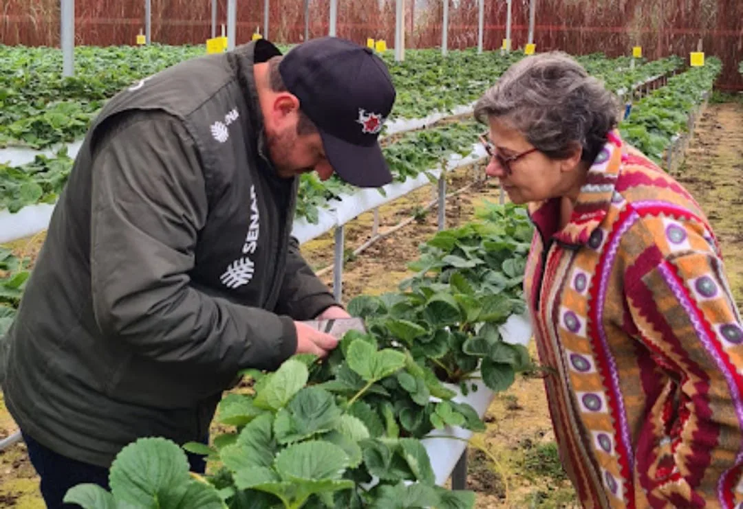 Projeto-piloto atende mais de 80 pequenas cooperativas na RMC.