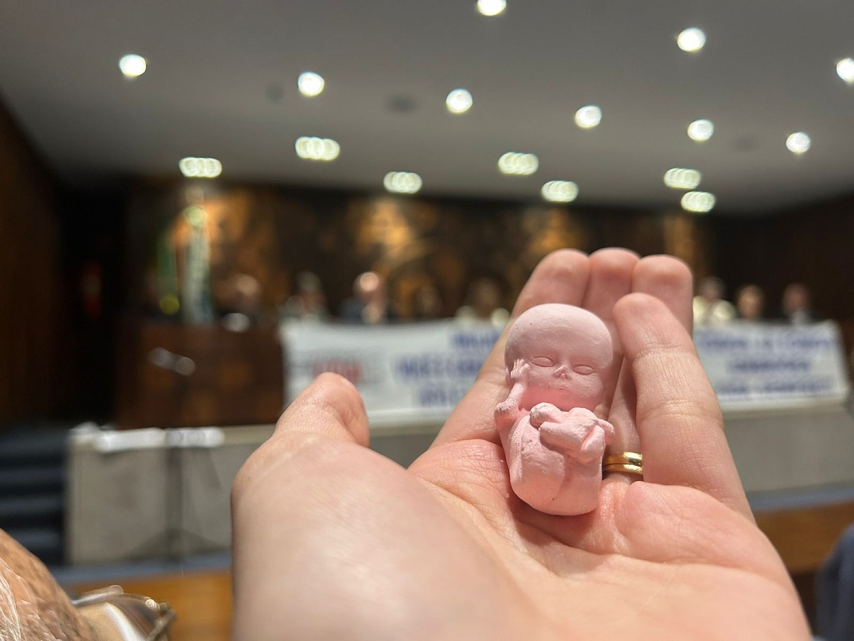 Parlamentares se reuniram na Assembleia Legislativa do Paraná para dar início à Frente Parlamentar Pró-vida.