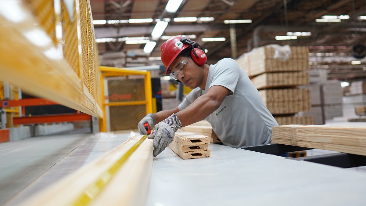 Moldura em pinus é usado fortemente pela construção civil norte-americana