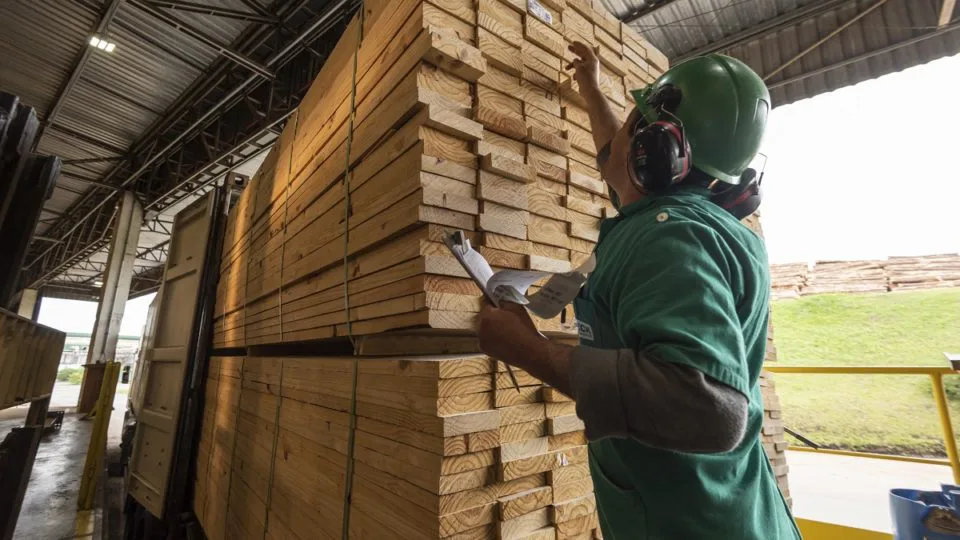 Berneck trabalha com 100% dos produtos em madeira de pinus.