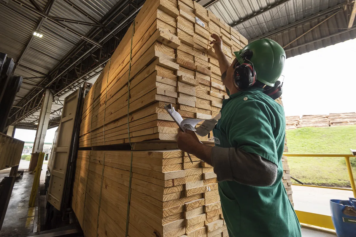 Berneck trabalha com 100% dos produtos em madeira de pinus.