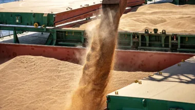 De cada US$ 100 negociados pelo Paraná com outros países em agosto de 2023, US$ 37 vieram da exportação da soja ou de seus derivados.