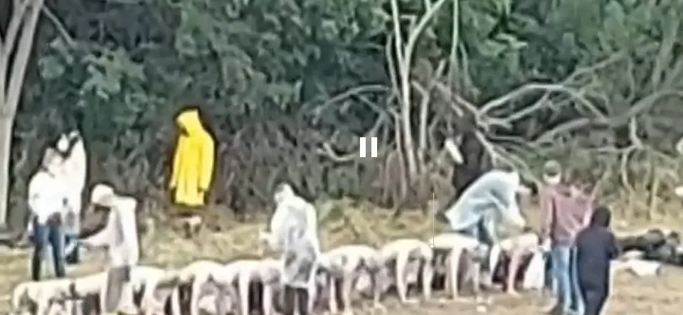 Trote na UFPR: grupo aparece de joelhos e com mãos apoiadas ao chão enquanto estudantes passam produtos nas costas deles.