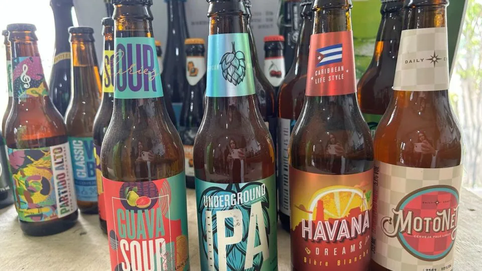 Clube do Malte inovou o modo de vender cervejas especiais com plataforma on-line.