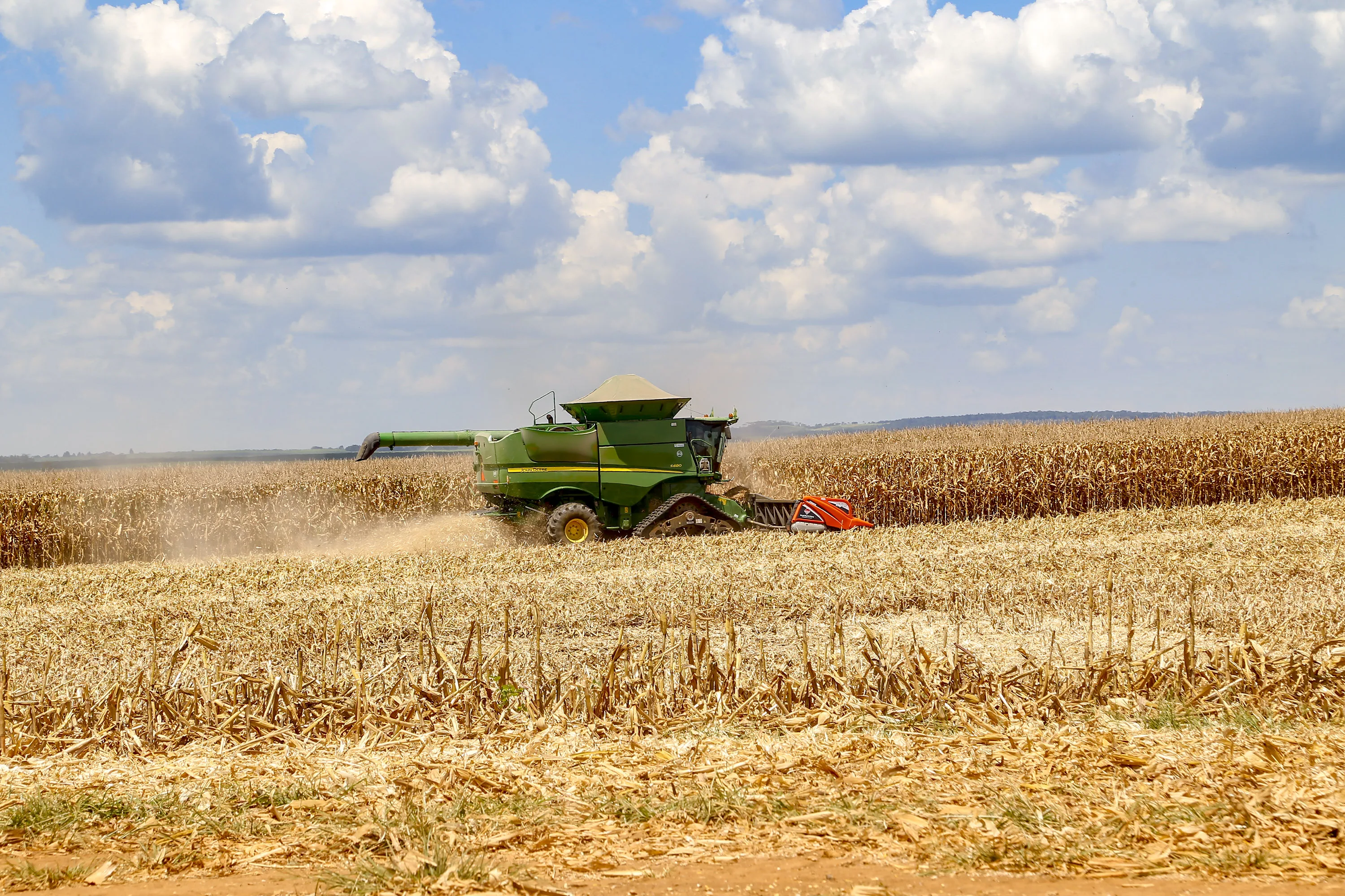 Produção de milho aumenta no Brasil e garante condições superavitárias.