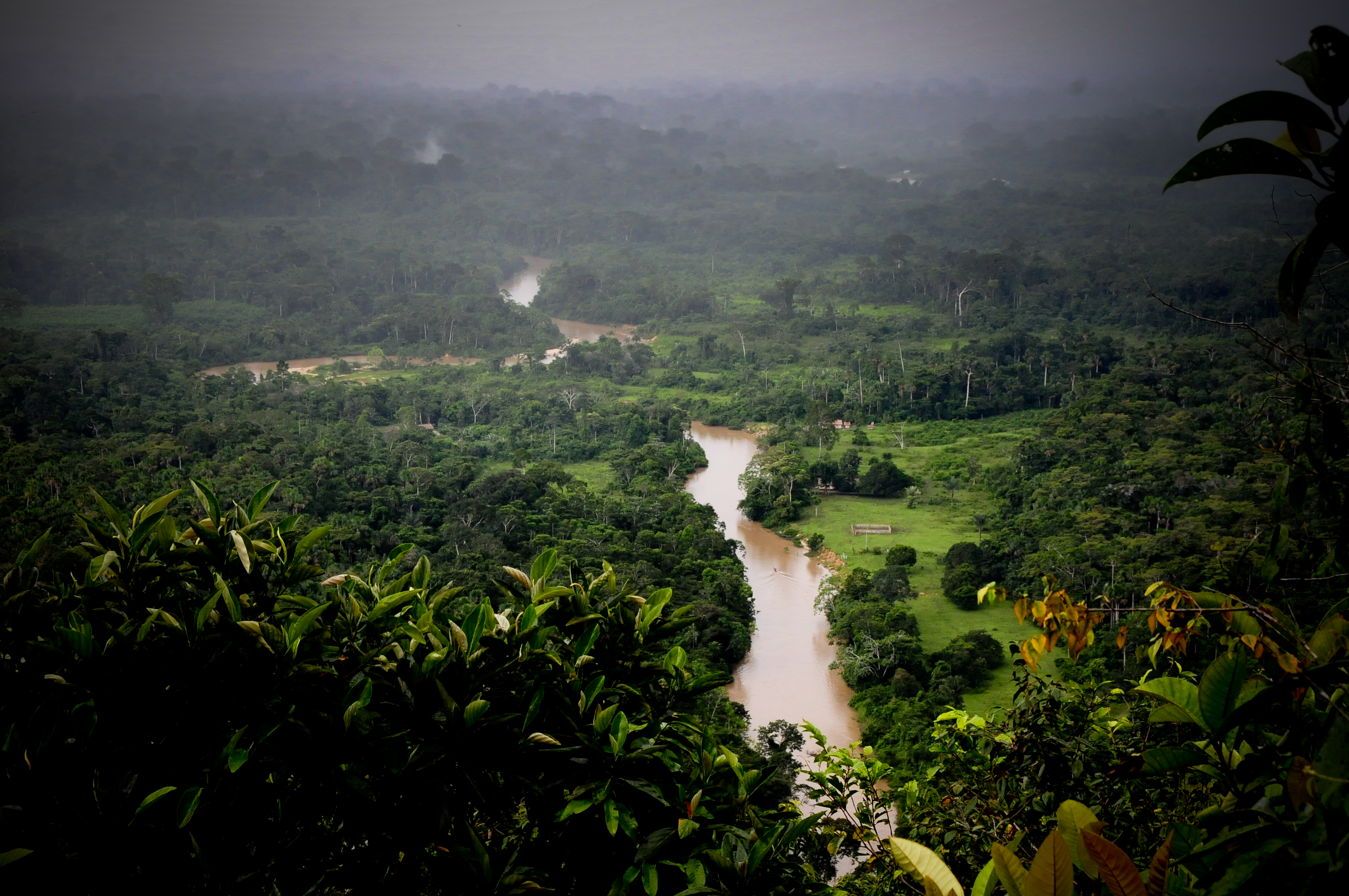 Área de proteção em território amazônico no Acre.