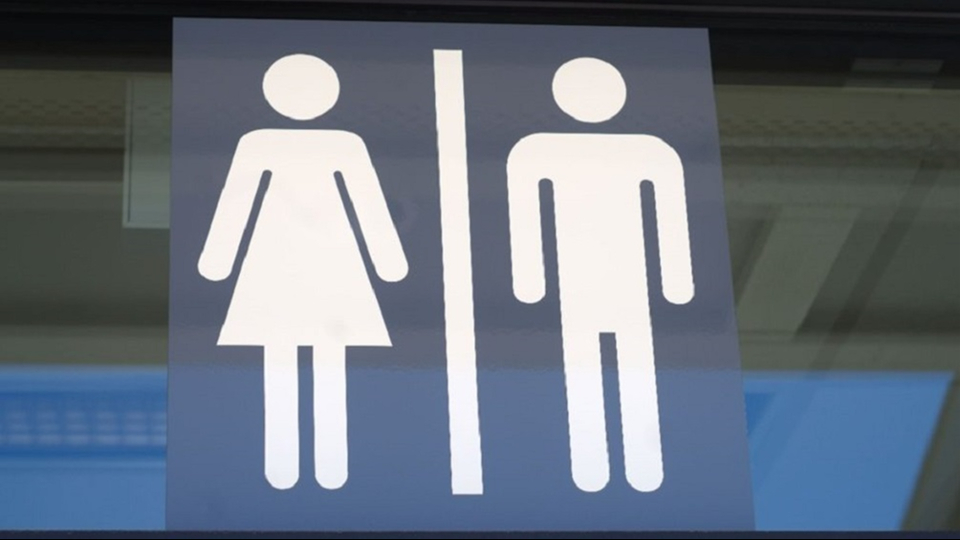 banheiro, trans, gênero, política, governo, esquerda, feminismo