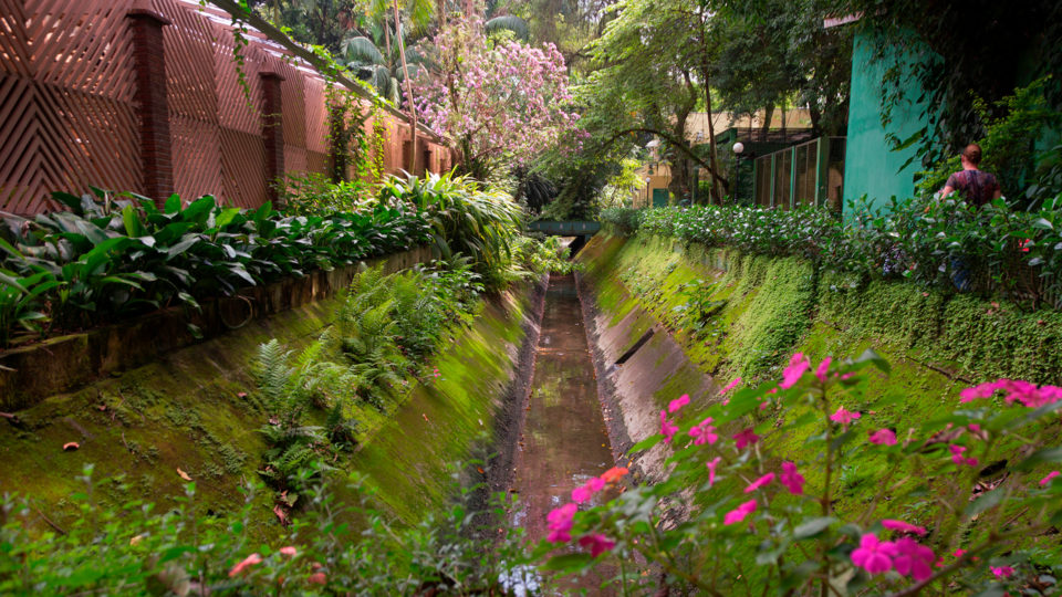 O Orquidário Municipal é um cenário de contos de fadas em Santos