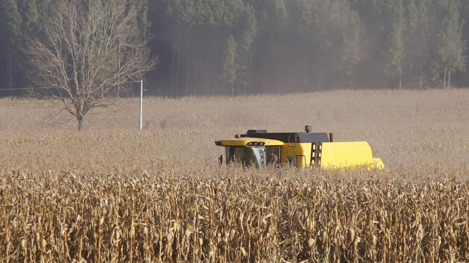 Agronegócio encontra no mercado de capitais uma saída para a falta de recursos.