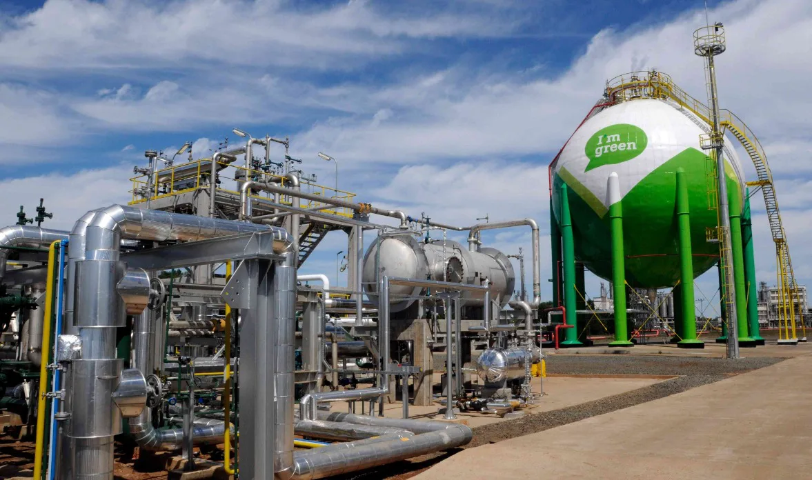 Julio Lancelotti: “Israel, além de ser um Estado assassino, é um Estado covarde".