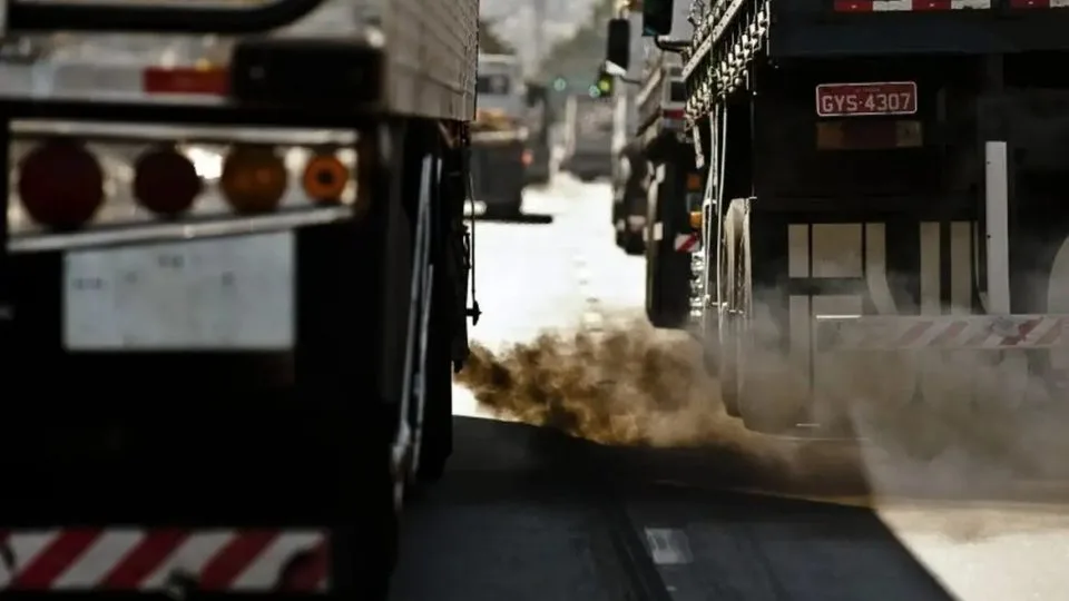 O Paraná armazena uma tonelada de carbono no solo de um ano para outro, enquanto no Cerrado, por exemplo, leva-se duas décadas.