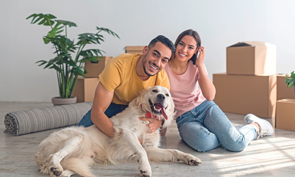 É importante ter paciência com os animais na adaptação ao novo lar.