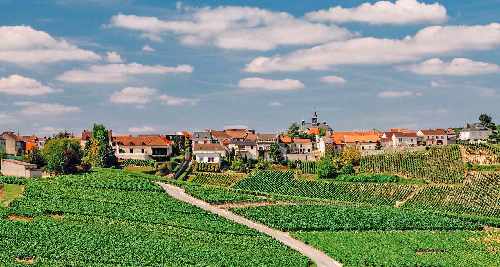 Região de Champagne na França.