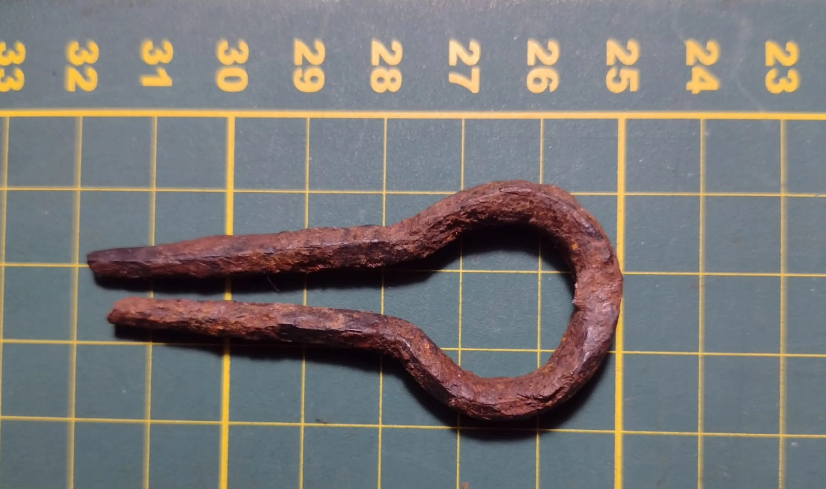 Em uma das expedições, Carol encontrou um berimbau de boca, também chamado de harpa de judeu.