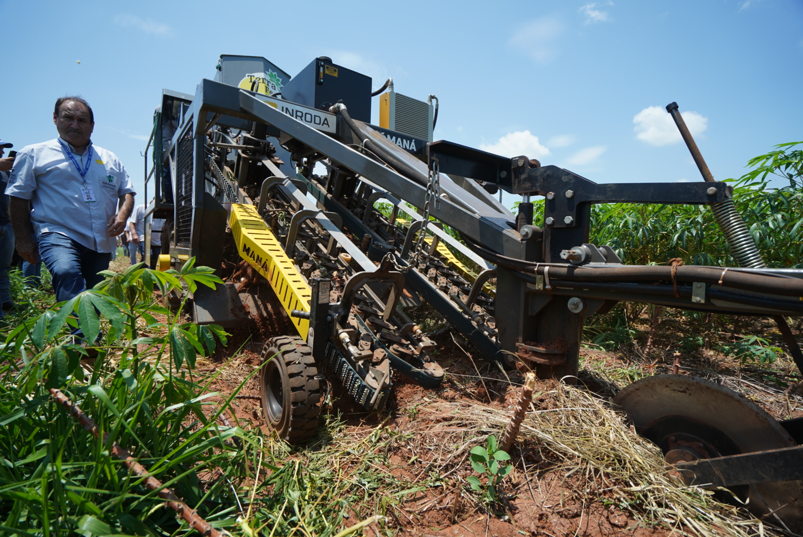 Máquina automatiza a colheita da mandioca levada para extração do amido na agroindústria.