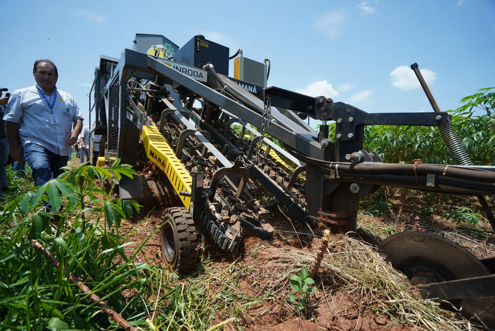 Máquina automatiza a colheita da mandioca levada para extração do amido na agroindústria.