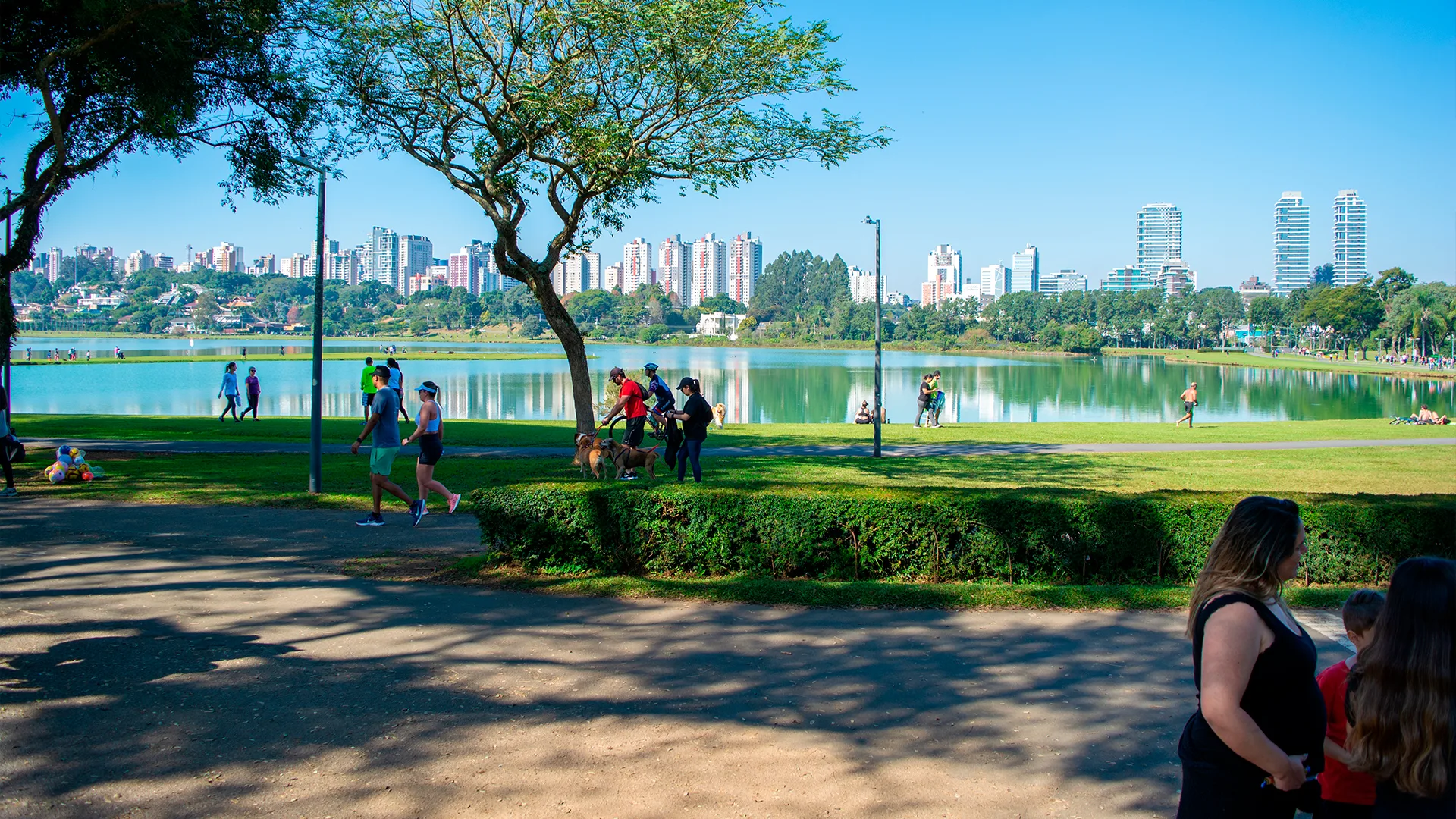 O Parque Barigui, um dos principais pontos turísticos de Curitiba, está bem próximo do Ecoville