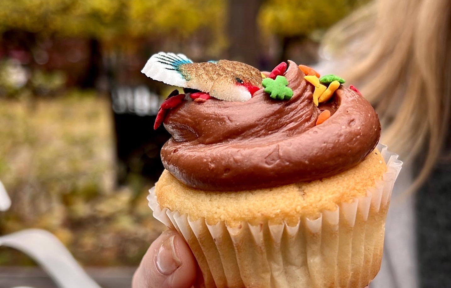Observatório, chocolates e cupcakes no outono de Nova York